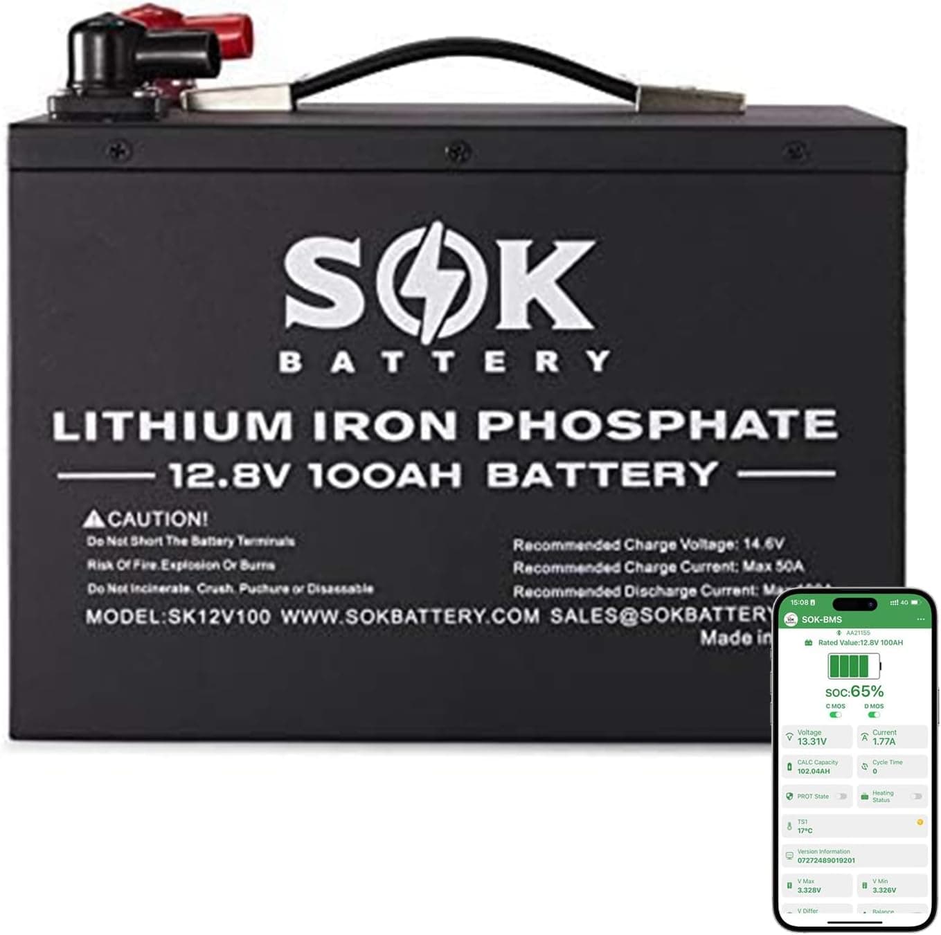 SOK Battery 100Ah 12V LiFePO4 Lithium Iron Phosphate Deep Cycle Battery for RV or Off-Grid, Low Temperature Disconnect